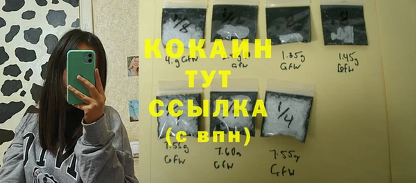 тгк Верея