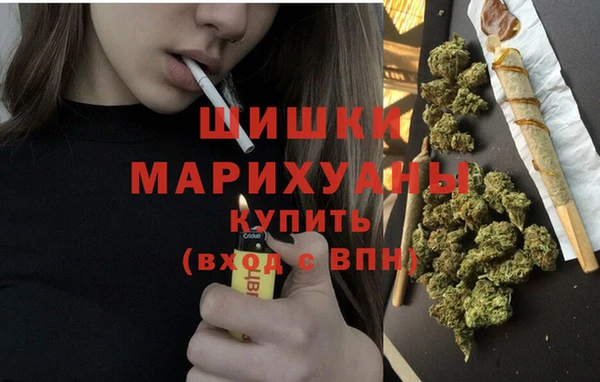 тгк Верея