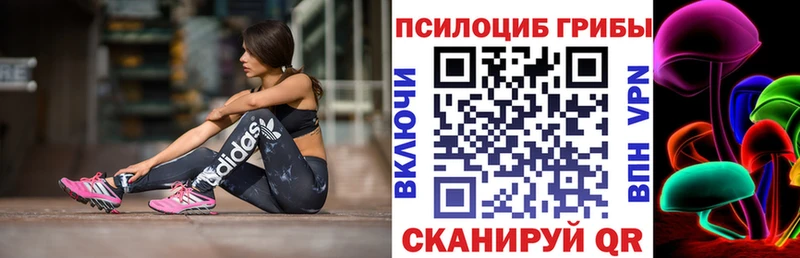 Галлюциногенные грибы прущие грибы  Купить где  Кондопога 